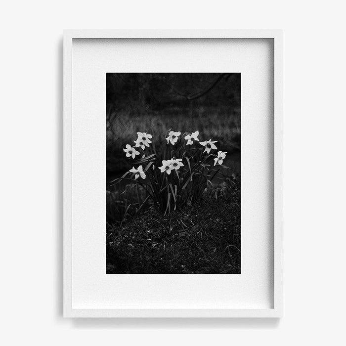 The First Spring , Photograph by The First Spring Tappan