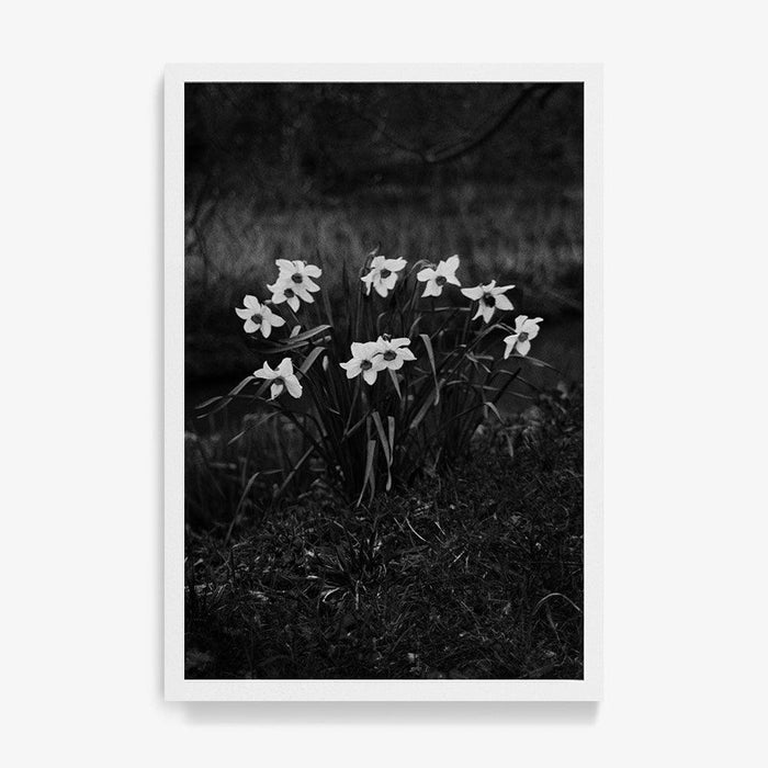 The First Spring , Photograph by The First Spring Tappan