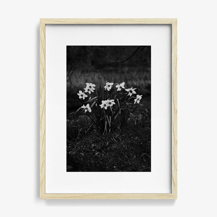 18 x 12 inches | Edition of 15 / Natural / Matted