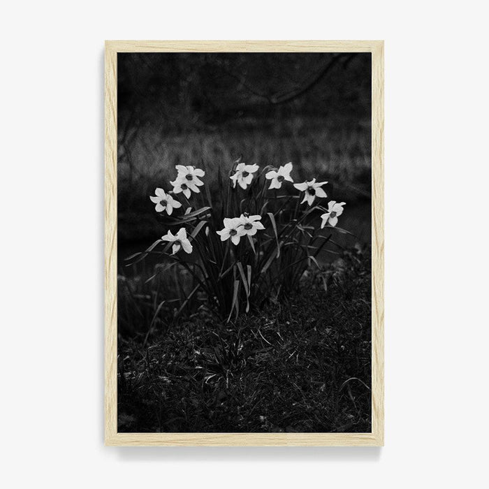 18 x 12 inches | Edition of 15 / Natural / Full Bleed