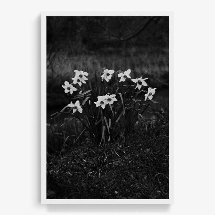 24 x 16 inches | Edition of 10 / White / Full Bleed