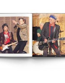The Rolling Stones Icons - Madison's Niche