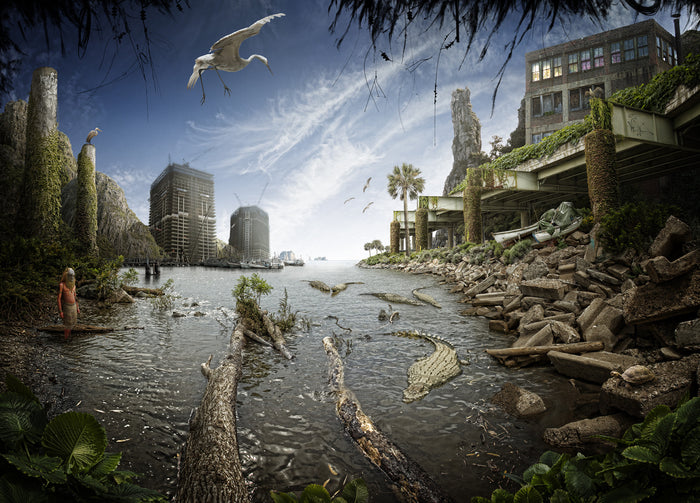 The Water’s Edge