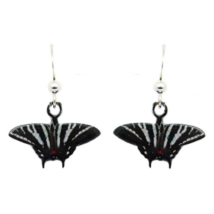 Zebra Swallowtail Butterfly